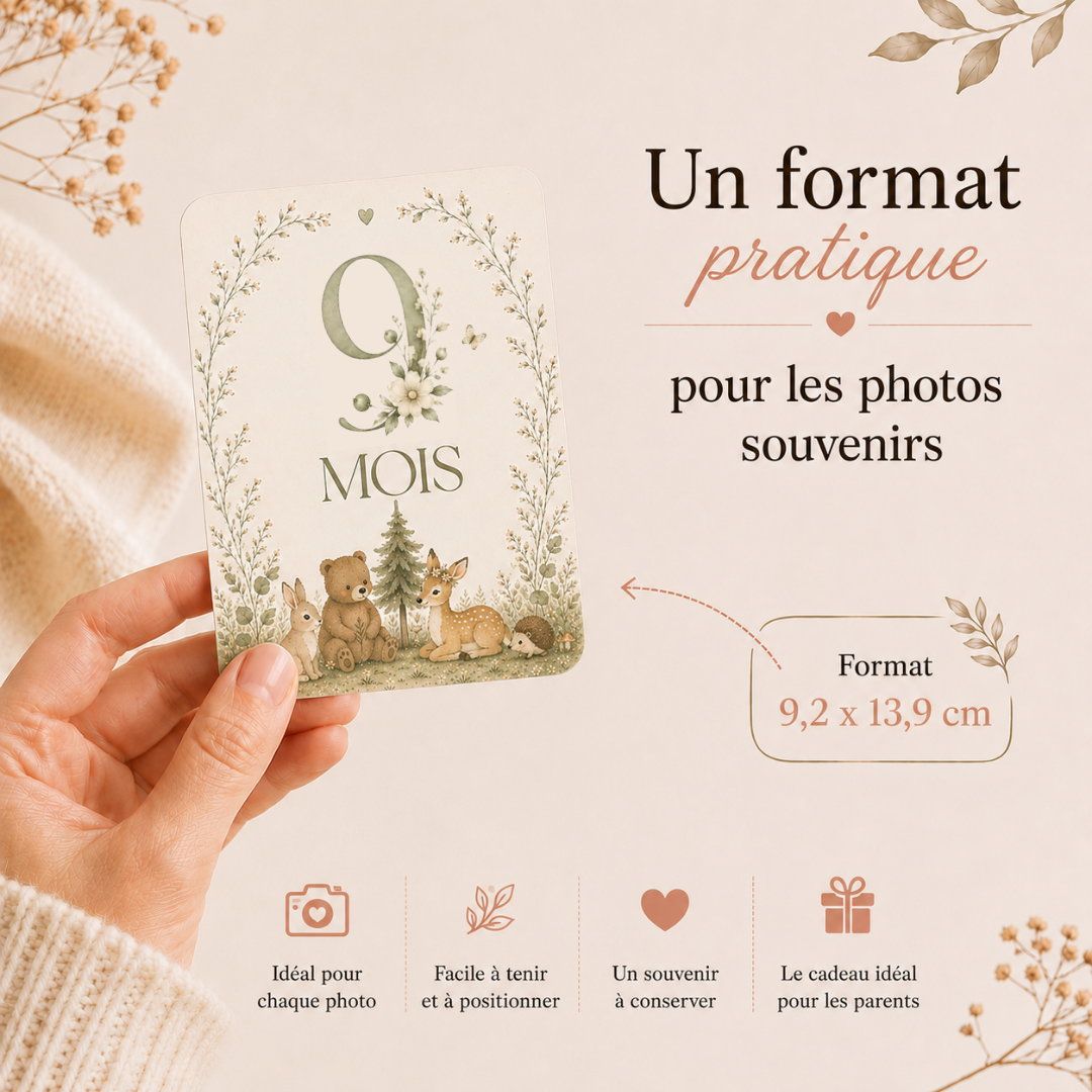 Cartes d'évolution - Nature Enchantée